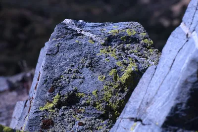 DSC_2250 (Large).JPG